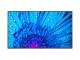 Sharp M431 43IN IPS LED