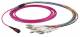 LWL-MTP®-Female-LC Patchkabel OM4 LowLoss, 12 Faser(Fanout,Pin1-12)-> 6xLC duplex, 2m, 50/125u,