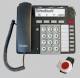 Ergophone S 510 radio with contact input +BT