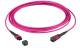 LWL-MTP®-Female Patchkabel OM4 LowLoss, 12 Faser, Typ B crossed, erika-violett, 50m