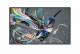 Philips 55BDL3650QE 55IN 139.7CM LED