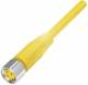 Balluff BCC S313-0000-10-001-VX43T2-020 Steckverbinder mit Kabel BCC0AH1
