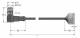 Turck WSC12T-2/TEL actuator and sensor cable PVC connection cable 6625336