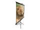 Elite Screens T84UWV1