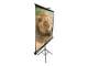 Elite Screens T84UWV1