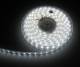 Synergy 21 S21-LED-FO0082