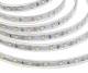 Synergy 21 S21-LED-FO0082