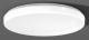 RZB 312087.002.4 Wall ceiling light LED/36W 4000K D515 H70 PC 3500lm