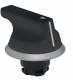 Schmersal NWTS32.1 Selector button right button. race left. Toggle gray 101164757