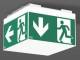RZB 672291.002.89 emergency light ceiling light Signcube Mini LED/3