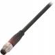 Balluff BCC M313-0000-20-001-PX0334-020 connector BCC02M2