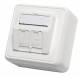 Telegärtner 100021382 H02000A0092 module Recording AP 80x80, 2-way 30 ° outlet alpine white unequipped