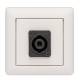 RCS Audio-Systems DL-055 US Loudspeaker socket (flush-mounted), with Speakon connection socket