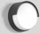 BEGA 33509K3 ceiling and wall light 3000K