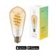 Avanca International BV HBEB-0212 Hombli smart filament light bulb, ST64, E27, CCT, amber