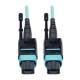 Eaton Power Quality 1M MTP/MPO PATCH 12 FIBER
