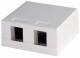 Telegärtner H02000B0065 Telegaertner wall socket for 2xAMJ-Mod./Kupplung AW just