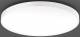 RZB 312388.002.76 wall ceiling light Triona LED/110W-3000K D84