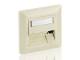 Equip Frontplatte 3xKeystone Jack 45° Fireproof RAL1013 Polybeutel