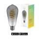 Avanca International BV HBEB-0211 Hombli smart filament light bulb, ST64, E27, CCT, Smokey