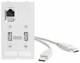 Murrelektronik 4000-68000-0980000 MSDD Modlink 2USB-A socket/plug 0.7m+1RJ45