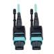 Eaton Power Quality 10M MTP/MP PATCH 12 FIBER