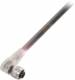 Balluff BCC M323-0000-10-006-PX0334-100 connector with cable BCC0C68