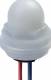 Schmersal indicator light G24-M20 101150877