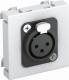 OBO Bettermann 6105213 OBO MTG-X3F L SWGR1 Multimediaträger XLR 3-p Buchse mit Löt 45x45mm schwarzgr