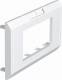 OBO Bettermann 6258040 OBO ADR-45 2 RW Abdeckrahmen 2f 170x86mm PC reinweiss 