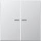 Jung AL10921STRF KNX RF Taster 2f.Aluminium AlMg1 Naturton mattgebeizt