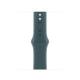 Apple MXL93ZM/A 42MM LAKE GREEN