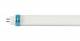 Synergy 21 S21-LED-BS00087