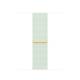 Apple 41MM SOFT MINT SPORT LOOP