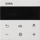GIRA 539303 S3000 RTR Display System 55 Reinweiß