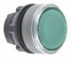 Schneider Electric ZB5AA38C0 Schneider Leuchtdrucktaster, Front, tastend, für Einlegeschild, grün