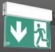RZB 671985.002.2.89 Emergency light wall-ceiling light Universal-S LE