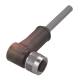 Balluff BCC W425-0000-1A-003-MW8434-030 Steckverbinder mit Kabel BCC0F95