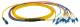 LWL-MTP®-Female-LC Patchkabel OS2 LowLoss, 12 Faser(Fanout,Pin1-12)-> 6xLC duplex, 2m, 9/125u,