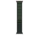 Apple MYPR3ZM/A 49MM DARK GREEN ALPINELOOP