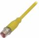 Balluff BCC M414-0000-2A-003-PX0434-050 connector BCC031P