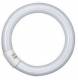 Osram 4008321581129 fluorescent lamp L 32W/827 C EE: A ring shape