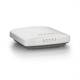 Ruckus Wireless 901-R550-WW00
