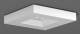 RZB 672282.002 emergency light ceiling light LED/4W 198x198x38.8h