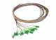 Synergy 21 S216299V3/2xS215594V2/12xS2155