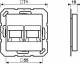 Jung A1569-2NAWEWW cover for MJ 2-fold NA WE (AMP wheel.)