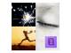 Synergy 21 S216394