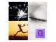 Synergy 21 S216394
