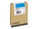 Epson C13T605200