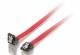 Equip SATA cable SATA -> SATA angled 0.30m pcs/pcs bar polybag